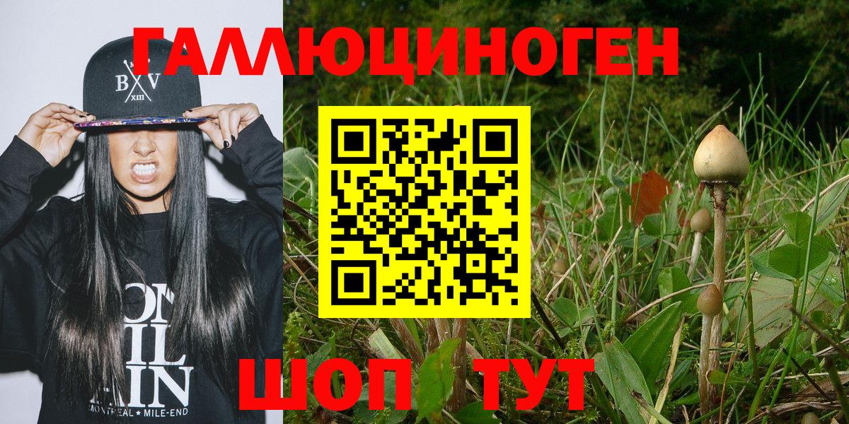 Бердск  Псилоцибиновые грибы GOLDEN TEACHER  Псилоцибиновые грибы MAGIC MUSHROOMS  Вход с VPN 